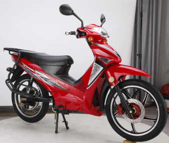 panther red a.jpg