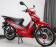 panther red a.jpg panther red a.jpg